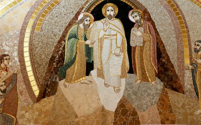 Homélie du dimanche 28 février