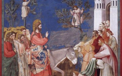 Homélie du dimanche des rameaux