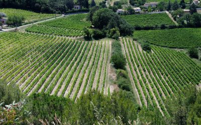 Homélie du dimanche 2 mai