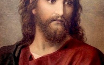 Homélie du dimanche 4 juillet