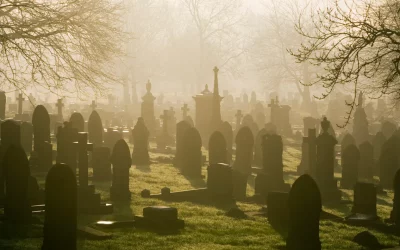 Homélie pour le 2 novembre