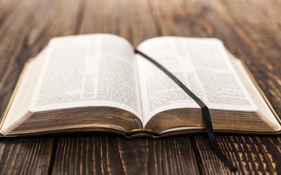 Homélie pour le dimanche 23 janvier (P. Arnaud)