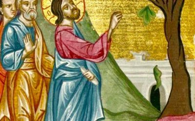 Homélie du dimanche 20 mars