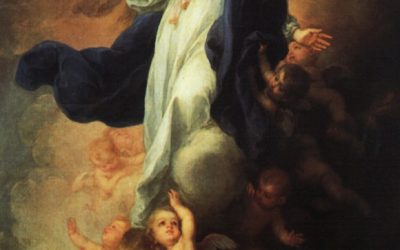 Homélie pour l&rsquo;Assomption 2022