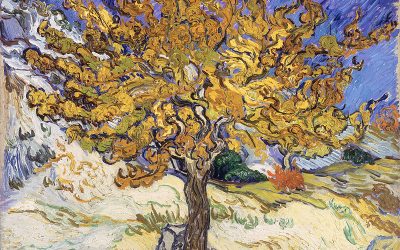 Homélie pour le dimanche 2 octobre