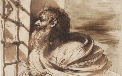 Homélie du dimanche 11 décembre