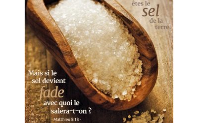 Homélie du dimanche 5 février