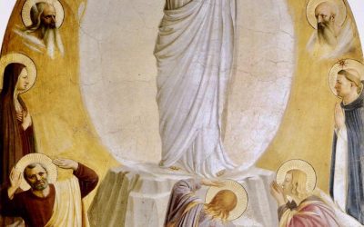 Homélie du dimanche 5 mars