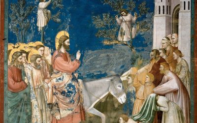 Homélie du dimanche des Rameaux