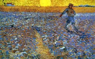 Homélie du dimanche 16 juillet