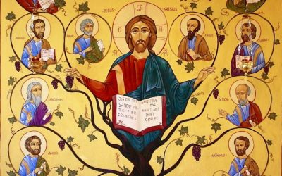 Homélie du dimanche 28 avril