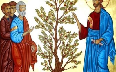 Homélie du dimanche 16 juin