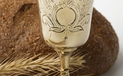 Homélie du dimanche 4 août