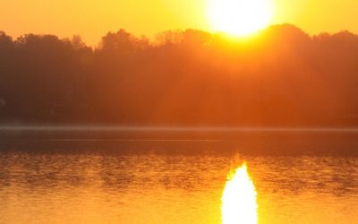 Homélie – Dimanche de la joie (Nicolas Poulain)