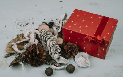 Boites de Noël solidaires