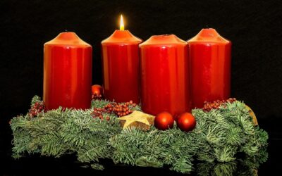 Homélie du dimanche 30 novembre