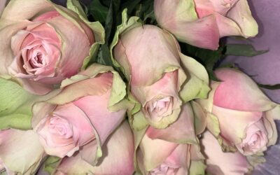 Témoignage sur la première messe des curieux au Saint-Esprit