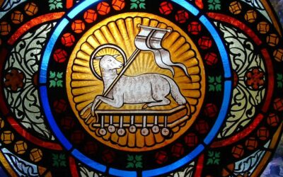 Homélie du dimanche 18 janvier