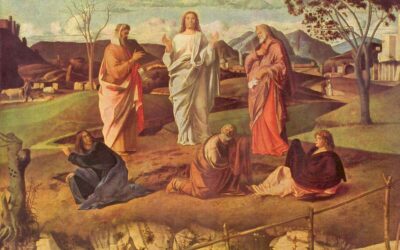 Homélie du dimanche 28 février